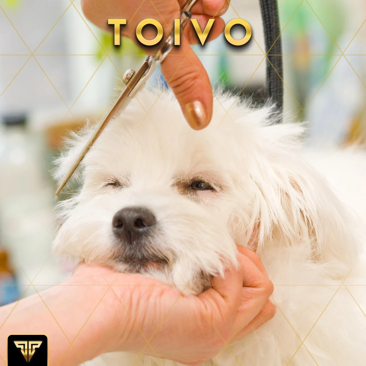 Toivo Schaar Voor Dieren - Zilver - Effileerscharen - Honden Scharenset - Dierenschaar - Set 5 Stuks - Trimscharen - Trimset - Uitdunschaar Hond - Schaar Honden 10 Toivo Schaar Voor Dieren - Zilver - Effileerscharen - Honden Scharenset - Dierenschaar - Set 5 Stuks - Trimscharen - Trimset - Uitdunschaar Hond - Schaar Honden - Afbeelding 8