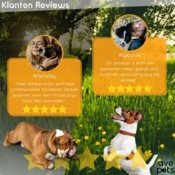 AVE Pets® Complete Hondentondeuse Set - Draadloos Tondeuse - Scheerapparaat Voor Je Hond Of Kat - Huisdier Trimmer - Professionele Dierentondeuse - Dieren Verzorging -Hondenartikelen Serie Winkel 1200x1200 1294