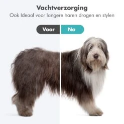 BURCH PetCare Ace - Waterblazer Voor Honden - Handzame Hondenföhn - RVS Borstel - 500W 14 BURCH PetCare Ace - Waterblazer Voor Honden - Handzame Hondenföhn - RVS Borstel - 500W -Hondenartikelen Serie Winkel 1200x1200 1316