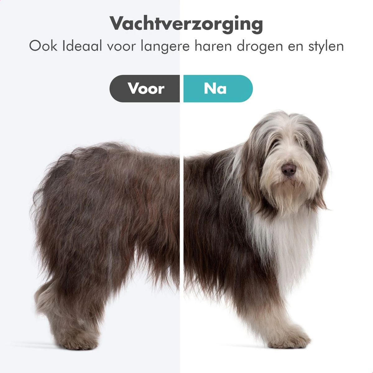 BURCH PetCare Ace - Waterblazer Voor Honden - Handzame Hondenföhn - RVS Borstel - 500W 4 BURCH PetCare Ace - Waterblazer Voor Honden - Handzame Hondenföhn - RVS Borstel - 500W - Afbeelding 2