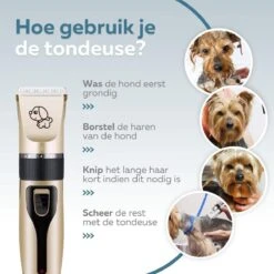 BYER Professionele Dieren Tondeuse Set - Voor Huisdieren Katten & Honden - Draadloos - Oplaadbare Pet Trimmer - Dog Tondeuze Clipper - 5 Standen & Vier Opzetkammen - Low Noise -Hondenartikelen Serie Winkel 1200x1200 1333