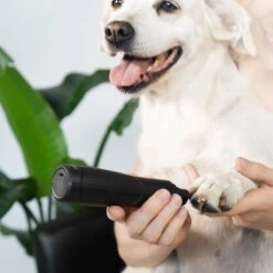 Navaris Elektrische Nagelvijl Voor Huisdieren - Met Diamanten Vijlkop - Voor Honden, Katten En Konijnen - Ook Voor Vogelsnavels - Draadloos -Hondenartikelen Serie Winkel 1200x1200 1334