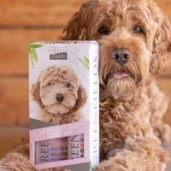 Greenfields Labradoodle Vacht Verzorgingsset - Shampoo En Anti-Klit Spray Voor Langharige Of Krullende Vacht -Hondenartikelen Serie Winkel 1200x1200 1336