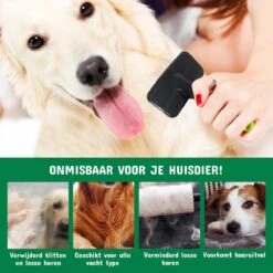 Mister Mill 2 Zijdige Ondervacht Kam Plus Slicker Borstel - Honden/Katten Kam - Voordeel Set 28 Mister Mill 2 Zijdige Ondervacht Kam Plus Slicker Borstel - Honden/Katten Kam - Voordeel Set -Hondenartikelen Serie Winkel 1200x1200 1360