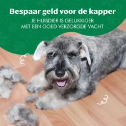 Mister Mill 2 Zijdige Ondervacht Kam Plus Slicker Borstel - Honden/Katten Kam - Voordeel Set 36 Mister Mill 2 Zijdige Ondervacht Kam Plus Slicker Borstel - Honden/Katten Kam - Voordeel Set -Hondenartikelen Serie Winkel 1200x1200 1363