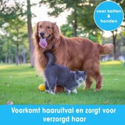 Professionele Ondervacht Kam Voor Hond En Kat S – Hondenborstel – Kattenborstel - Hondenkam –Anti Klit - Haarverwijderaar Voor Huisdieren - Pijnloos - Huisdiervriendelijk – Klittenkam - Voorkomt Haaruitval - Kleine Variant- Black Friday - Sinterklaas -Hondenartikelen Serie Winkel 1200x1200 1367