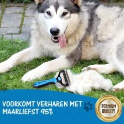 Hoogwaardige 2-Zijdige Hondenkam Hondenborstel Borstel Hond Klittenkam - Ondervacht Kam - Honden Borstel - Honden Kam - Hondenborstel Langharig - Hondenborstel Kortharig - Verwijdert Klitten - Voorkomt Verharing - Blauw - Woodoro 16 Hoogwaardige 2-Zijdige Hondenkam Hondenborstel Borstel Hond Klittenkam - Ondervacht Kam - Honden Borstel - Honden Kam - Hondenborstel Langharig - Hondenborstel Kortharig - Verwijdert Klitten - Voorkomt Verharing - Blauw - Woodoro -Hondenartikelen Serie Winkel 1200x1200 1377