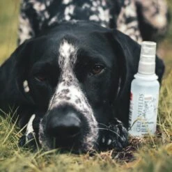 Hondenparfum Spray In 4 Geuren - Greenfields - Alchoholvrije En PH Neutrale Formule Tegen Onaangename Geurtjes - 50ml - Exotic -Hondenartikelen Serie Winkel 1200x1200 1388