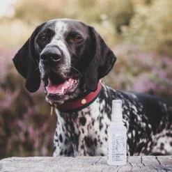 Hondenparfum Spray In 4 Geuren - Greenfields - Alchoholvrije En PH Neutrale Formule Tegen Onaangename Geurtjes - 50ml - Exotic -Hondenartikelen Serie Winkel 1200x1200 1395