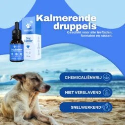 Aerend - Kalmerende Druppels Voor Honden - Zanipro® 30ml - Ontspanning En Antistress Middel Om Gedragsproblemen Te Verlichten - 100% Natuurlijk Uit Het Verenigd Koninkrijk - Met Ashwagandha & Valeriaan - No-stress - Voor Thuis En Onderweg -Hondenartikelen Serie Winkel 1200x1200 14