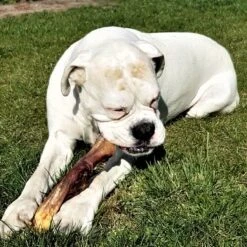 Topdiervoeding Runderkophuid Hondensnacks - Vers Gedroogd - 30cm - 1000 Gram 11 Topdiervoeding Runderkophuid Hondensnacks - Vers Gedroogd - 30cm - 1000 Gram -Hondenartikelen Serie Winkel 1200x1200 141