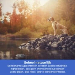 Sensipharm Bitterspray Anti Bijt Spray - Hond, Kat, Konijn & Vogel - Bitter Anti Kauw Knabbel Knaag - 100 Ml 9 Sensipharm Bitterspray Anti Bijt Spray - Hond, Kat, Konijn & Vogel - Bitter Anti Kauw Knabbel Knaag - 100 Ml -Hondenartikelen Serie Winkel 1200x1200 1415