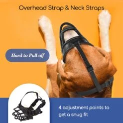 Nobleza Muilkorf Hond - Snuitomtrek 33 - Maat L - Zwart -Hondenartikelen Serie Winkel 1200x1200 1425