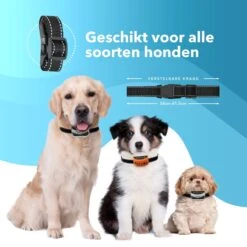 PET DOG® | Anti Blafband Voor Honden | 3 T/m 60 Kg | Oplaadbaar | Anti Blaf Band | Trainingsband | Vibratie En Geluid | Diervriendelijk | Shock Aan/uit Instelbaar -Hondenartikelen Serie Winkel 1200x1200 1430