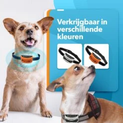 PET DOG® | Anti Blafband Voor Honden | 3 T/m 60 Kg | Oplaadbaar | Anti Blaf Band | Trainingsband | Vibratie En Geluid | Diervriendelijk | Shock Aan/uit Instelbaar -Hondenartikelen Serie Winkel 1200x1200 1432