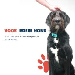 Anti Blafband - Blafband Voor Honden - Anti Blaf Apparaat - Blafband - Diervriendelijk & Zonder Schok 18 Anti Blafband - Blafband Voor Honden - Anti Blaf Apparaat - Blafband - Diervriendelijk & Zonder Schok -Hondenartikelen Serie Winkel 1200x1200 1442