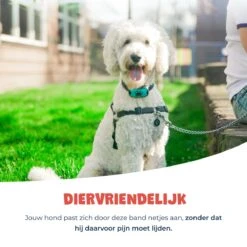 Anti Blafband - Blafband Voor Honden - Anti Blaf Apparaat - Blafband - Diervriendelijk & Zonder Schok 19 Anti Blafband - Blafband Voor Honden - Anti Blaf Apparaat - Blafband - Diervriendelijk & Zonder Schok -Hondenartikelen Serie Winkel 1200x1200 1443