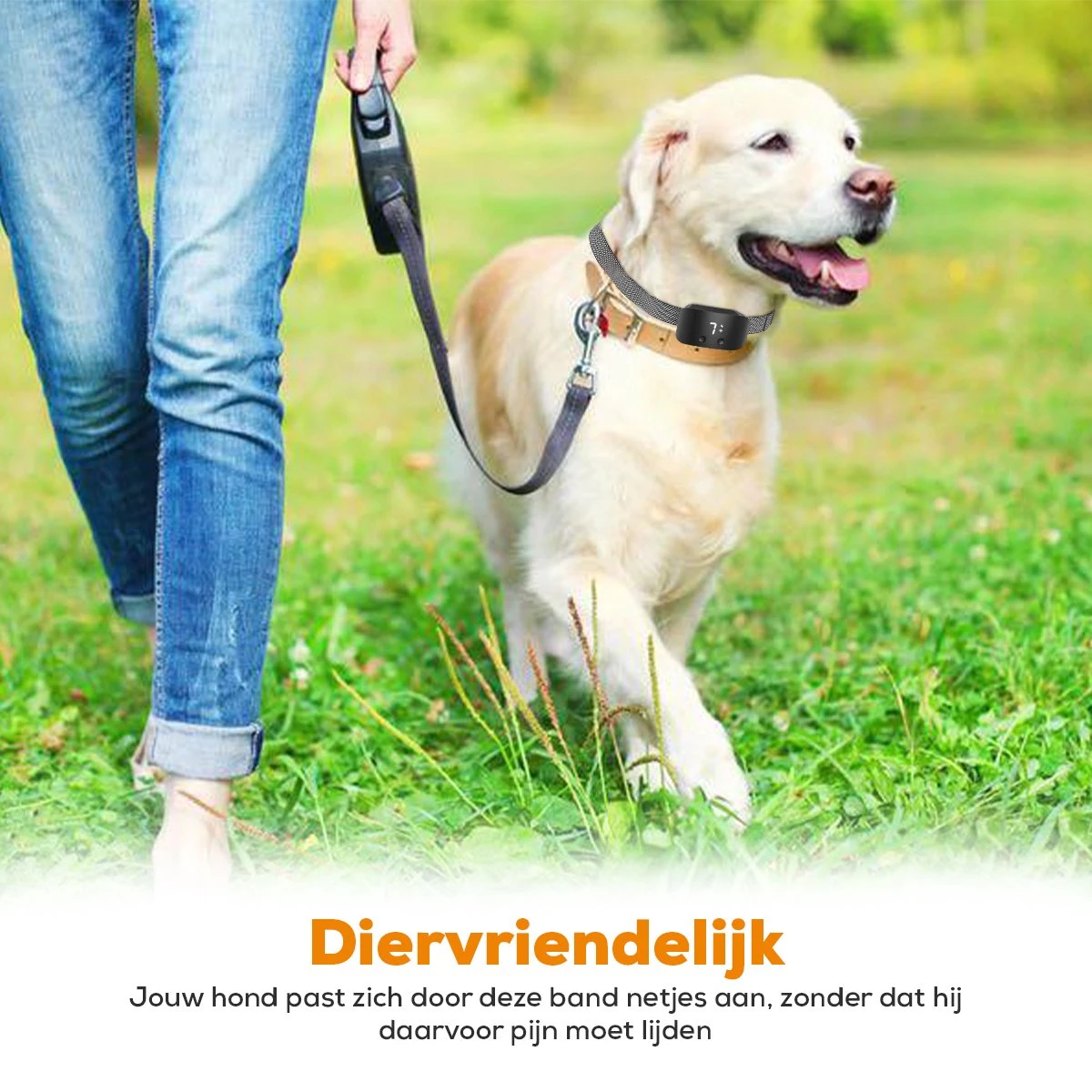 Salvano Anti Blafband - Blafband Voor Honden - Opvoedingshalsbanden - Voor Kleine En Grote Honden - Anti Blafband Zonder Schok- Oplaadbaar - Anti Blaf Apparaat - Blafband - Diervriendelijk 9 Salvano Anti Blafband - Blafband Voor Honden - Opvoedingshalsbanden - Voor Kleine En Grote Honden - Anti Blafband Zonder Schok- Oplaadbaar - Anti Blaf Apparaat - Blafband - Diervriendelijk - Afbeelding 7