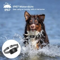 Salvano Anti Blafband - Blafband Voor Honden - Opvoedingshalsbanden - Voor Kleine En Grote Honden - Anti Blafband Zonder Schok- Oplaadbaar - Anti Blaf Apparaat - Blafband - Diervriendelijk 19 Salvano Anti Blafband - Blafband Voor Honden - Opvoedingshalsbanden - Voor Kleine En Grote Honden - Anti Blafband Zonder Schok- Oplaadbaar - Anti Blaf Apparaat - Blafband - Diervriendelijk -Hondenartikelen Serie Winkel 1200x1200 1451