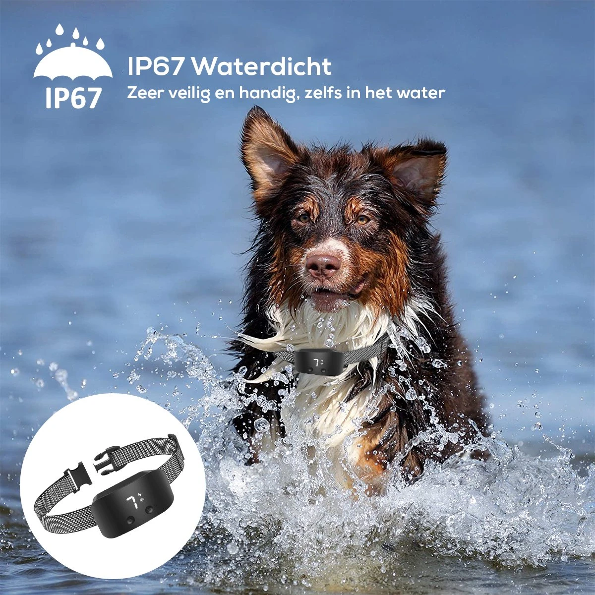 Salvano Anti Blafband - Blafband Voor Honden - Opvoedingshalsbanden - Voor Kleine En Grote Honden - Anti Blafband Zonder Schok- Oplaadbaar - Anti Blaf Apparaat - Blafband - Diervriendelijk 10 Salvano Anti Blafband - Blafband Voor Honden - Opvoedingshalsbanden - Voor Kleine En Grote Honden - Anti Blafband Zonder Schok- Oplaadbaar - Anti Blaf Apparaat - Blafband - Diervriendelijk - Afbeelding 8