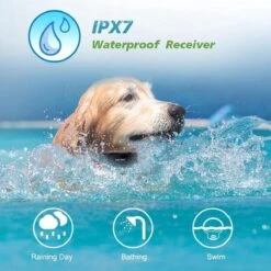 Anti Blafband EN Trainingshalsband In 1 - UNIEK Systeem - 500m Bereik - Trainingsband Opvoedband Waterdicht - Anti Blaf Apparaat - Teletac - Oplaadbaar - Volautomatisch - Grote & Kleine Hond -Hondenartikelen Serie Winkel 1200x1200 1460