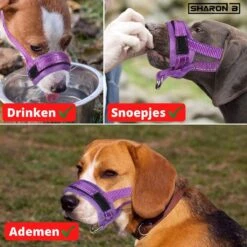 Sharon-B Muilkorf Turquoise Maat S - Fleece - Reflecterend - Kleine Hond -Hondenartikelen Serie Winkel 1200x1200 1493