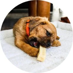 RENSKE | Renske Chhurpi Kauwkluif -Hondenartikelen Serie Winkel 1200x1200 150