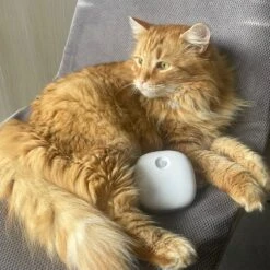 Pettadore Air Insight - Kattenbak Geurverdrijver & Teller - Actieve Zuurstof En Ionen - Oplaadbaar - Met App -Hondenartikelen Serie Winkel 1200x1200 1512