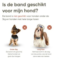 Premium Anti Blafband Apparaat Om Je Hond Snel En Effectief Te Laten Stoppen Met Blaffen - Diervriendelijke Opvoedingshalsband Zonder Schok - Trainingshalsband Voor Grote En Kleine Honden - Anti Blaf Apparaat - Correctie Halsband -Hondenartikelen Serie Winkel 1200x1200 1523