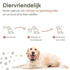 Premium Anti Blafband Apparaat Om Je Hond Snel En Effectief Te Laten Stoppen Met Blaffen - Diervriendelijke Opvoedingshalsband Zonder Schok - Trainingshalsband Voor Grote En Kleine Honden - Anti Blaf Apparaat - Correctie Halsband -Hondenartikelen Serie Winkel 1200x1200 1524