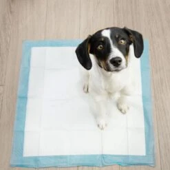 Springos Puppy Training Pads| Plasmatjes Hond | Zindelijkheidstraining | 10 Stuks | 35 X 45 Cm -Hondenartikelen Serie Winkel 1200x1200 1530