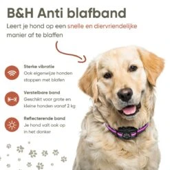 Premium Anti Blafband Om Je Hond Snel En Effectief Te Laten Stoppen Met Blaffen - Diervriendelijke Opvoedingshalsband Zonder Schok - Trainingshalsband Voor Grote En Kleine Honden - Anti Blaf Apparaat - Correctie Halsband -Hondenartikelen Serie Winkel 1200x1200 1545