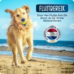 VEDIC® - Luxe Clicker Met Fluit - Clickertraining - Rood - Bevestigingsring - Fluit - Hondentraining 13 VEDIC® - Luxe Clicker Met Fluit - Clickertraining - Rood - Bevestigingsring - Fluit - Hondentraining -Hondenartikelen Serie Winkel 1200x1200 1551