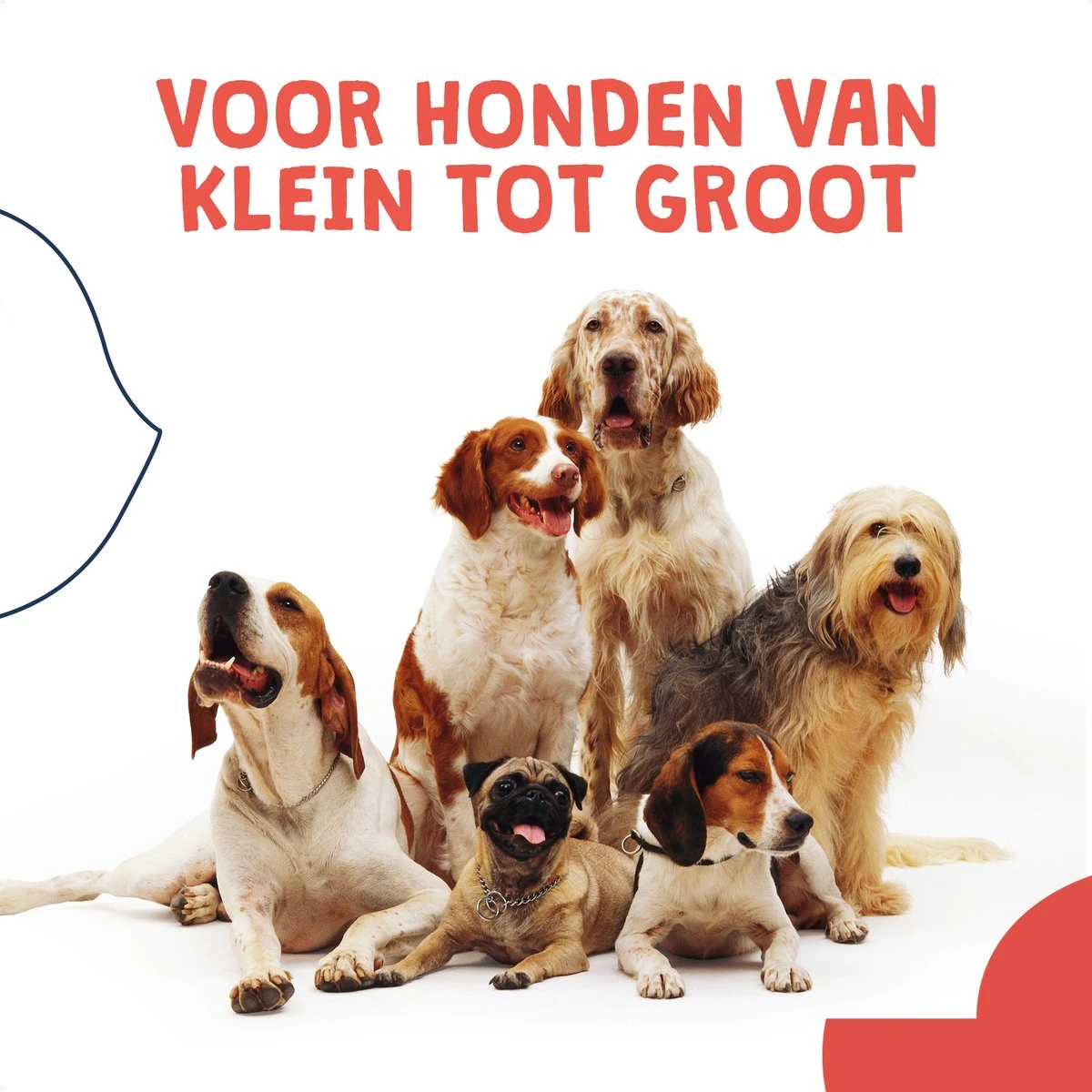 JC Pets Ultrasone Anti Blaf Apparaat Voor Kleine En Grote Honden - Oplaadbaar - Alternatief Anti Blafband Voor Honden - Diervriendelijk & Zonder Schok 10 JC Pets Ultrasone Anti Blaf Apparaat Voor Kleine En Grote Honden - Oplaadbaar - Alternatief Anti Blafband Voor Honden - Diervriendelijk & Zonder Schok - Afbeelding 8