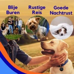 MyPets™ Anti-blafband - Anti Blaf Apparaat - Voor Kleine Honden En Grote Honden - Diervriendelijk - Opvoedingshalsband - Trainingshalsband - 2022/2023 Versie - Inclusief Batterijen -Hondenartikelen Serie Winkel 1200x1200 1575