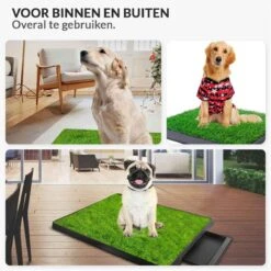 Merkloos Hondentoilet Kunstgras Met Bak - Indoor Dierentoilet - Uitneembare Opvangbak - Puppy Training Pets - Outdoor/Balkon/Tuin/Indoor Toilet - 50x64 Cm 17 Merkloos Hondentoilet Kunstgras Met Bak - Indoor Dierentoilet - Uitneembare Opvangbak - Puppy Training Pets - Outdoor/Balkon/Tuin/Indoor Toilet - 50x64 Cm -Hondenartikelen Serie Winkel 1200x1200 1595
