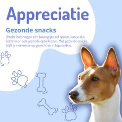 Animalgoods Gedroogde Snacks - Hondensnack - Varken - Varkensoorstukjes - 500 Gram - Hondensnacks - Honden - Snacks -Hondenartikelen Serie Winkel 1200x1200 160