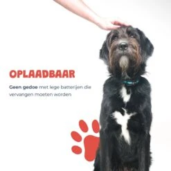 Anti Blafband - Blafband Voor Honden - Oplaadbaar - Anti Blaf Apparaat - Blafband - Diervriendelijk -Hondenartikelen Serie Winkel 1200x1200 1604