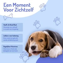 Animalgoods Gedroogde Snacks - Hondensnack - Varken - Varkensoorstukjes - 500 Gram - Hondensnacks - Honden - Snacks -Hondenartikelen Serie Winkel 1200x1200 161