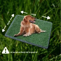 Merkloos Gtrise Hondentoilet Met 2 Matten - Out/Indoor - Zindelijkheidstraining Ebook - Dieren Wc 17 Merkloos Gtrise Hondentoilet Met 2 Matten - Out/Indoor - Zindelijkheidstraining Ebook - Dieren Wc -Hondenartikelen Serie Winkel 1200x1200 1615