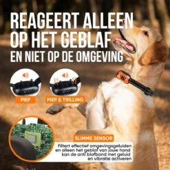 Strex Anti Blafband Voor Honden - 3-60KG - Oplaadbaar - Zonder Schok - Vibratie En Audio - Diervriendelijk - Anti Blaf Band - Anti Blaf Apparaat - Opvoedingshalsband Alle Honden 13 Strex Anti Blafband Voor Honden - 3-60KG - Oplaadbaar - Zonder Schok - Vibratie En Audio - Diervriendelijk - Anti Blaf Band - Anti Blaf Apparaat - Opvoedingshalsband Alle Honden -Hondenartikelen Serie Winkel 1200x1200 1626