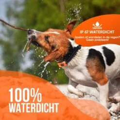 Strex Anti Blafband Voor Honden - 3-60KG - Oplaadbaar - Zonder Schok - Vibratie En Audio - Diervriendelijk - Anti Blaf Band - Anti Blaf Apparaat - Opvoedingshalsband Alle Honden 15 Strex Anti Blafband Voor Honden - 3-60KG - Oplaadbaar - Zonder Schok - Vibratie En Audio - Diervriendelijk - Anti Blaf Band - Anti Blaf Apparaat - Opvoedingshalsband Alle Honden -Hondenartikelen Serie Winkel 1200x1200 1628