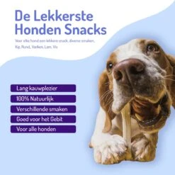 Animalgoods Gedroogde Snacks - Hondensnack - Varken - Varkensoorstukjes - 500 Gram - Hondensnacks - Honden - Snacks -Hondenartikelen Serie Winkel 1200x1200 163