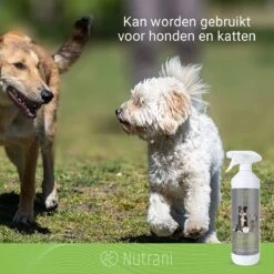 Nutrani Geurverwijderaar, 750 Ml, Natuurlijke Enzymreiniger Als Gebruiksklare Spray Met Biologische Werking, Verwijdert Geurtjes, Urine, Poep En Vlekken Van Honden En Katten -Hondenartikelen Serie Winkel 1200x1200 1664