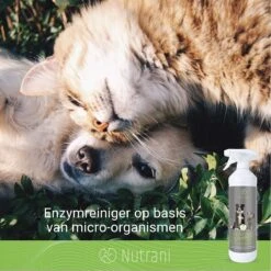 Nutrani Geurverwijderaar, 750 Ml, Natuurlijke Enzymreiniger Als Gebruiksklare Spray Met Biologische Werking, Verwijdert Geurtjes, Urine, Poep En Vlekken Van Honden En Katten -Hondenartikelen Serie Winkel 1200x1200 1665