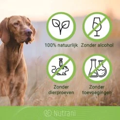 Nutrani Geurverwijderaar, 750 Ml, Natuurlijke Enzymreiniger Als Gebruiksklare Spray Met Biologische Werking, Verwijdert Geurtjes, Urine, Poep En Vlekken Van Honden En Katten -Hondenartikelen Serie Winkel 1200x1200 1666