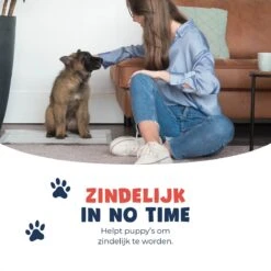 JC Pets Premium Puppy Training Pads - Hondentoilet - Zindelijkheidstraining Hond - 100 Stuks - 60 X 45 Cm -Hondenartikelen Serie Winkel 1200x1200 1675