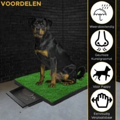 Toivo HondenToilet Kunstgras - Zwart - Geurafstotend - 62 X 49 X 6.6 CM - Honden Wc Outdoor - Zindelijkheidstraining Hond - Puppy Pads - Dierentoilet -Hondenartikelen Serie Winkel 1200x1200 1682