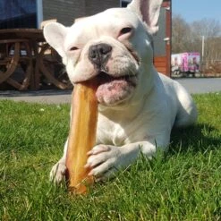 Topdiervoeding Runderkophuid Hondensnacks - Vers Gedroogd - 20cm - 1000 Gram -Hondenartikelen Serie Winkel 1200x1200 169