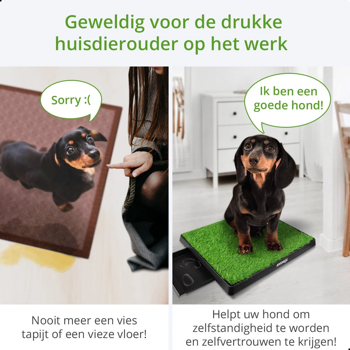 AWEMOZ Hondentoilet Kunstgras - Met 2 Matten En Opvangbak - 64x52x7,5cm - Puppy Pads - Zindelijkheidstraining Hond - Training Pads - Indoor / Outdoor Honden Toilet 7 AWEMOZ Hondentoilet Kunstgras - Met 2 Matten En Opvangbak - 64x52x7,5cm - Puppy Pads - Zindelijkheidstraining Hond - Training Pads - Indoor / Outdoor Honden Toilet - Afbeelding 5